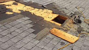 Roof Repair in Sussex